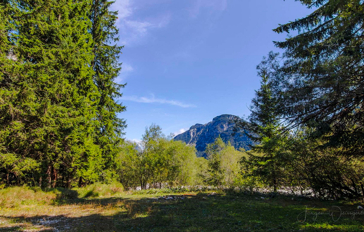 Bergblick zwischen Bäumen