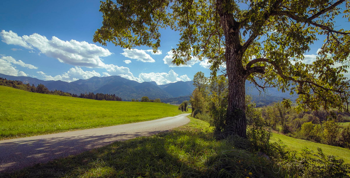 Straße in die Berge