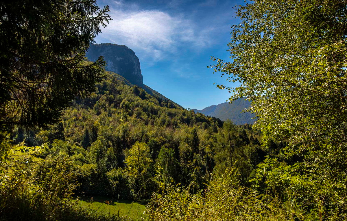Bewaldete Berghänge