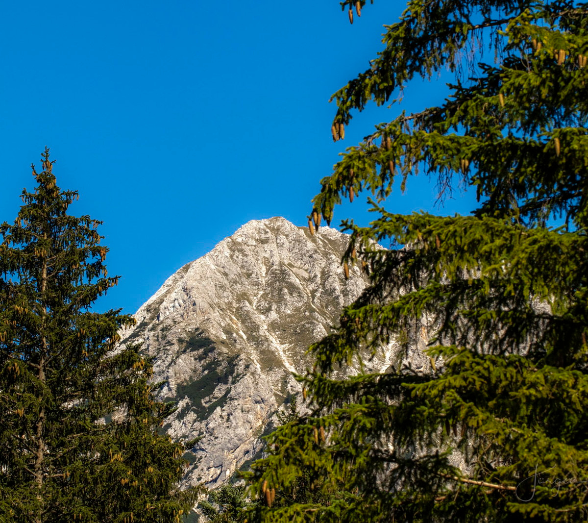 Berg zwischen Fichten