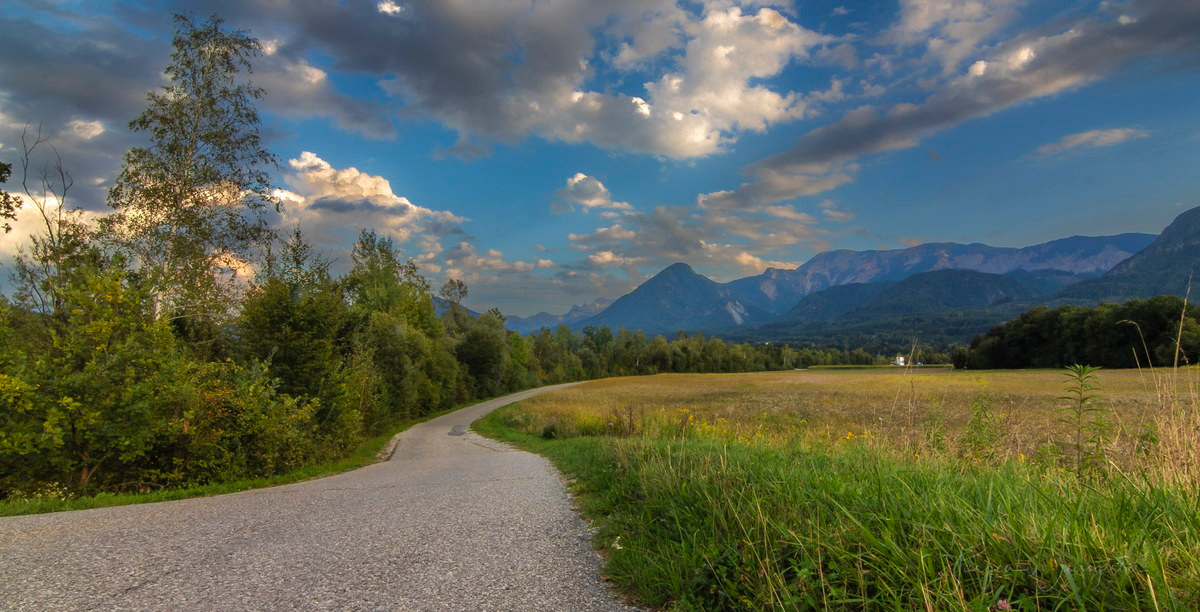 Straße durch die Wiesen
